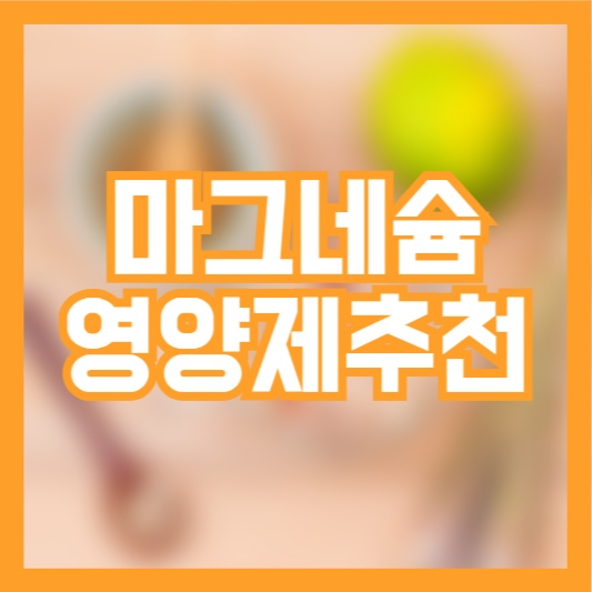 마그네슘 영양제 추천 주의사항 고려사항