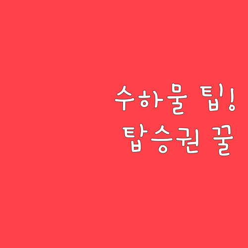 핀에어 온라인 체크인 후 수하물 위탁..