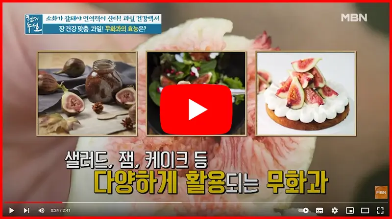 천기누설 방송 무화과 효능