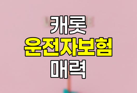 캐롯 투게더 운전자보험의 숨겨진 매력