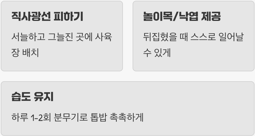 이것만은 꼭! '관리'의 핵심 포인트