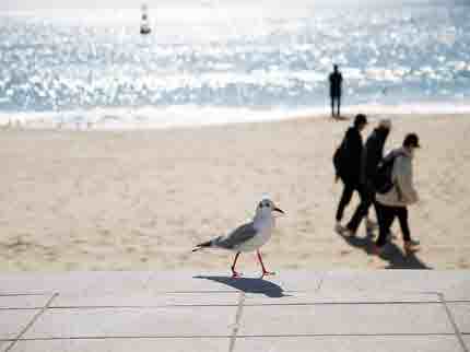 부산 가볼만한곳