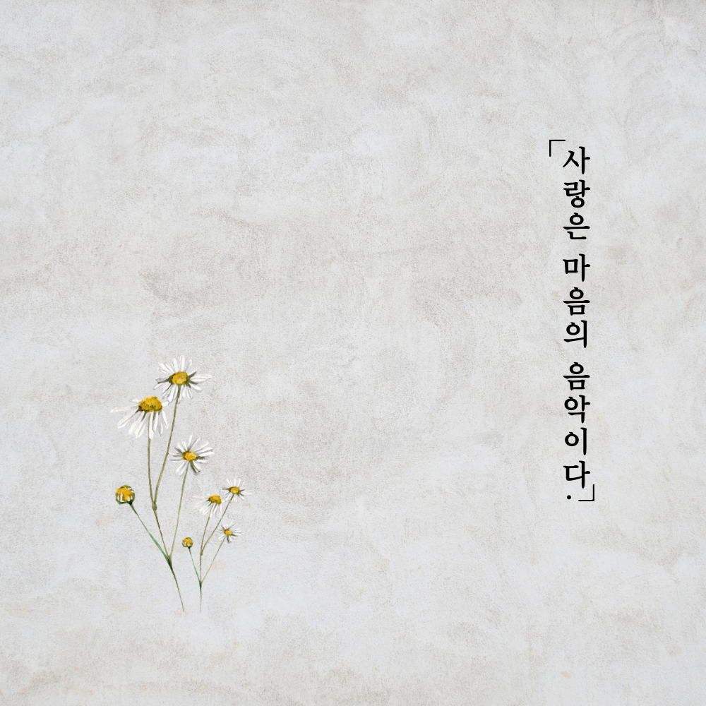 짧고 좋은 사랑 글귀 좋은글 문구 이미지 모음