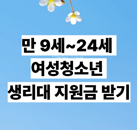생리대지원금