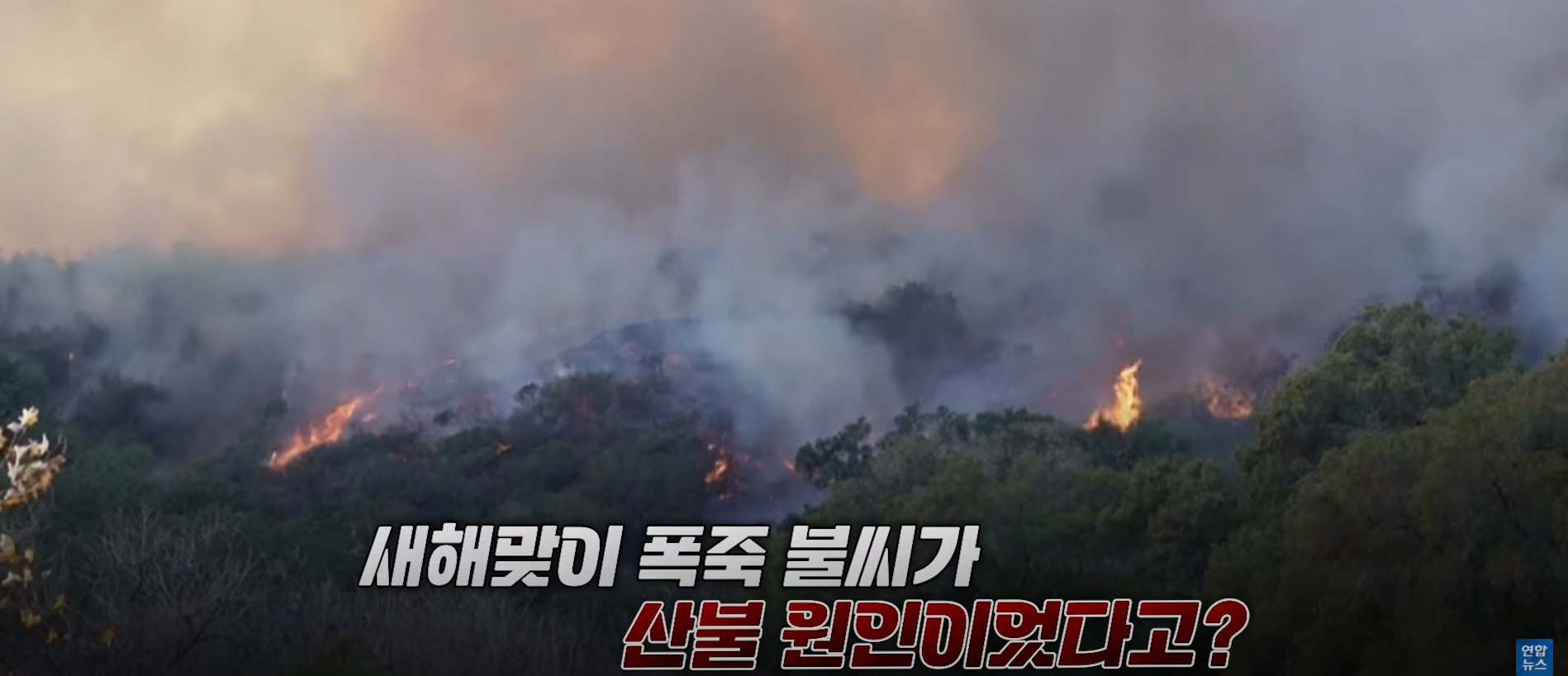 연합뉴스자료
