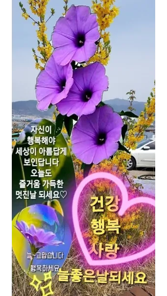 건강 인사말 모음 예시 멘트_17