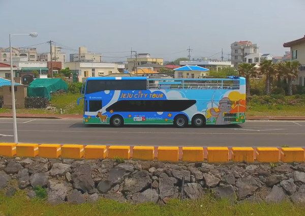 제주시티투어버스로 제주도 여행하기