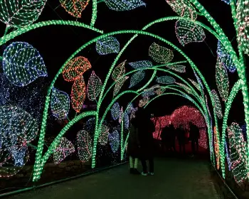 아침고요수목원 오색별빛정원전_16