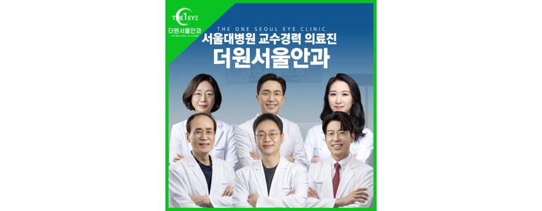 서울 강남구 녹내장