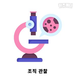 위축성 위염 진단 치료