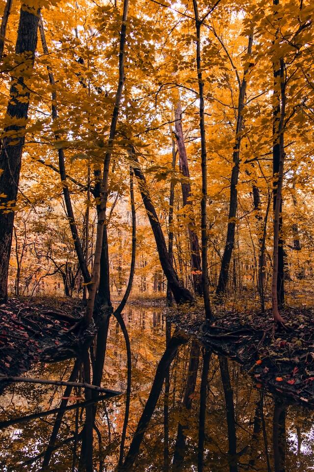 가을 여행지 추천 베스트 3 경기도편