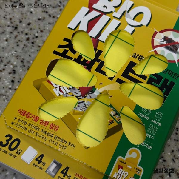 초파리 날파리 제거방법 다이소 리스테린 초파리싹