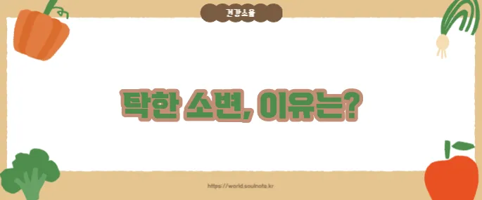 소변색이 탁한 이유 (+건강 이상 징후)