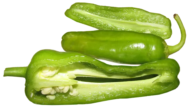 명절 전 종류 모음과 전통적인 의미