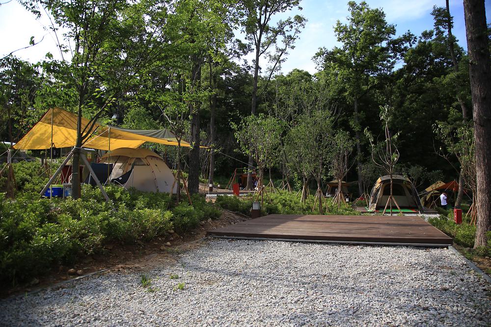 인천 덕산국민여가캠핑장 소개