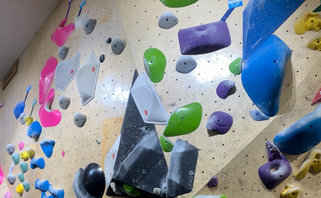 다양한 유형의 홀드들