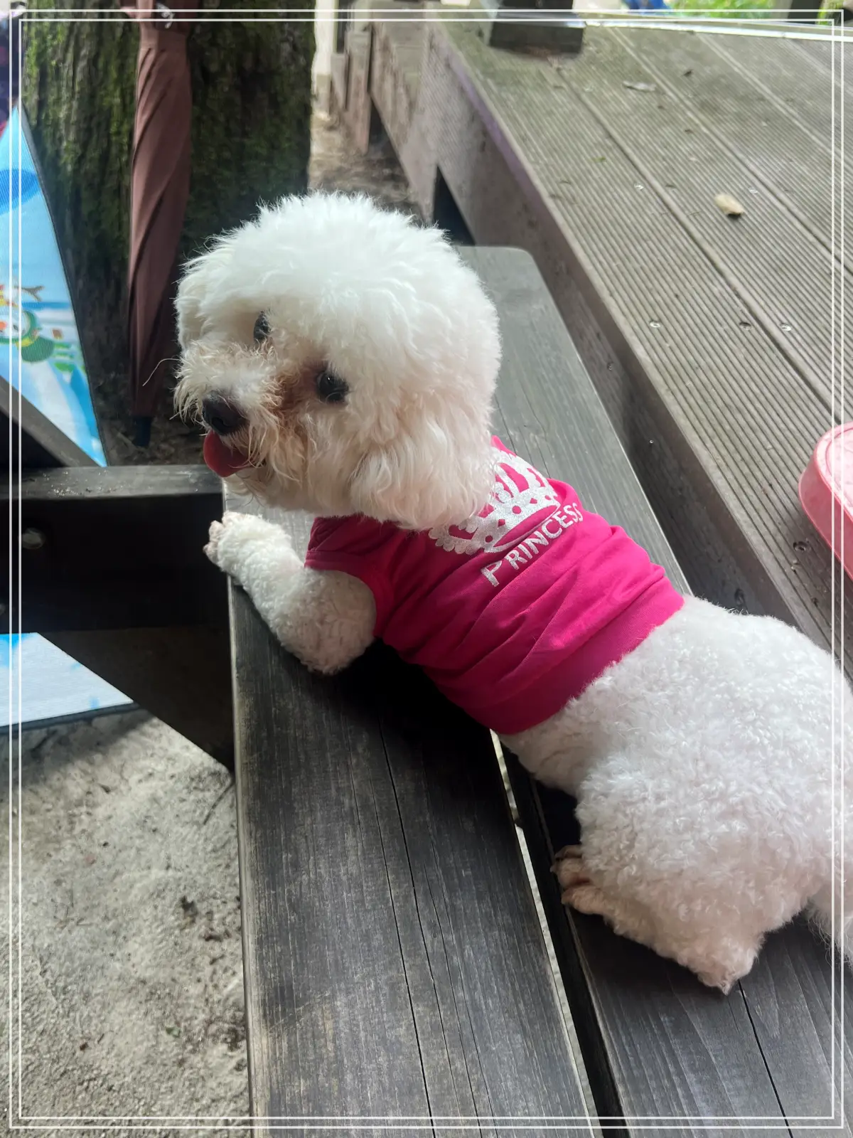 백운계곡KakaoTalk_20250730_152802912_30