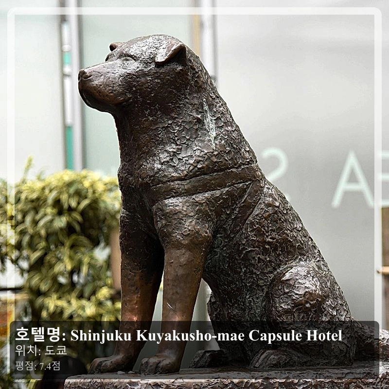 Shinjuku Kuyakusho-mae Capsule Hotel_6