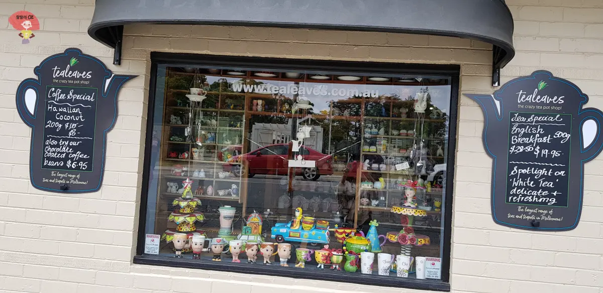 호주-멜버른-단데농-사사프라스-티샵-티리브즈-외부창문으로-바라보는-진열대-아기자기-예쁜-찻잔들