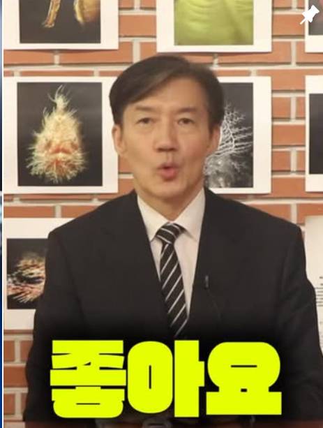 조국 프로필|나이, 고향, 학력, 키, 경력, 조국혁신당