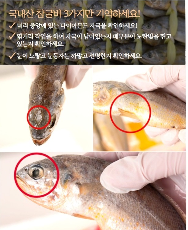 한국인의밥상-영광굴비-김성진