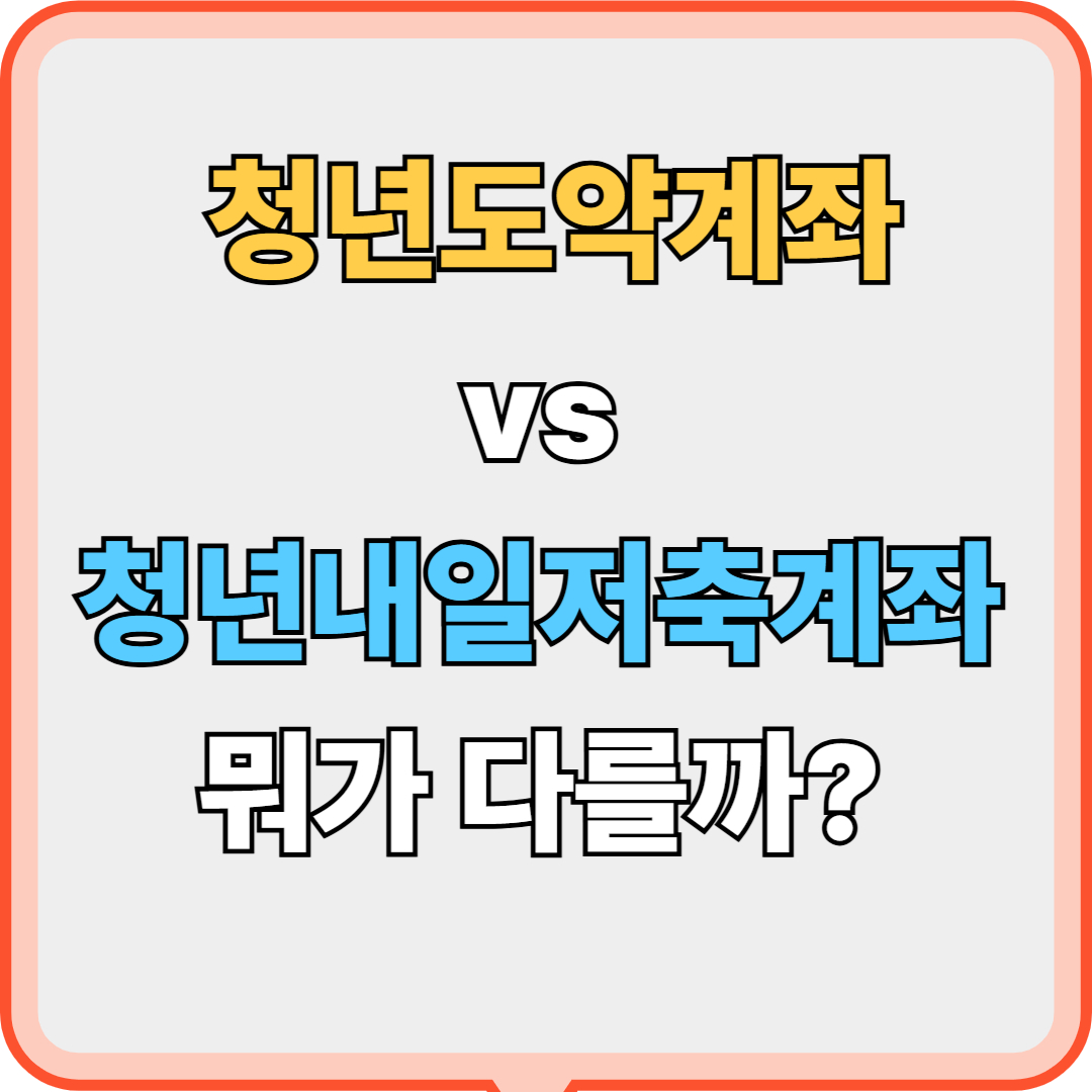 청년도약계좌 vs 청년내일저축계좌 비교 분석