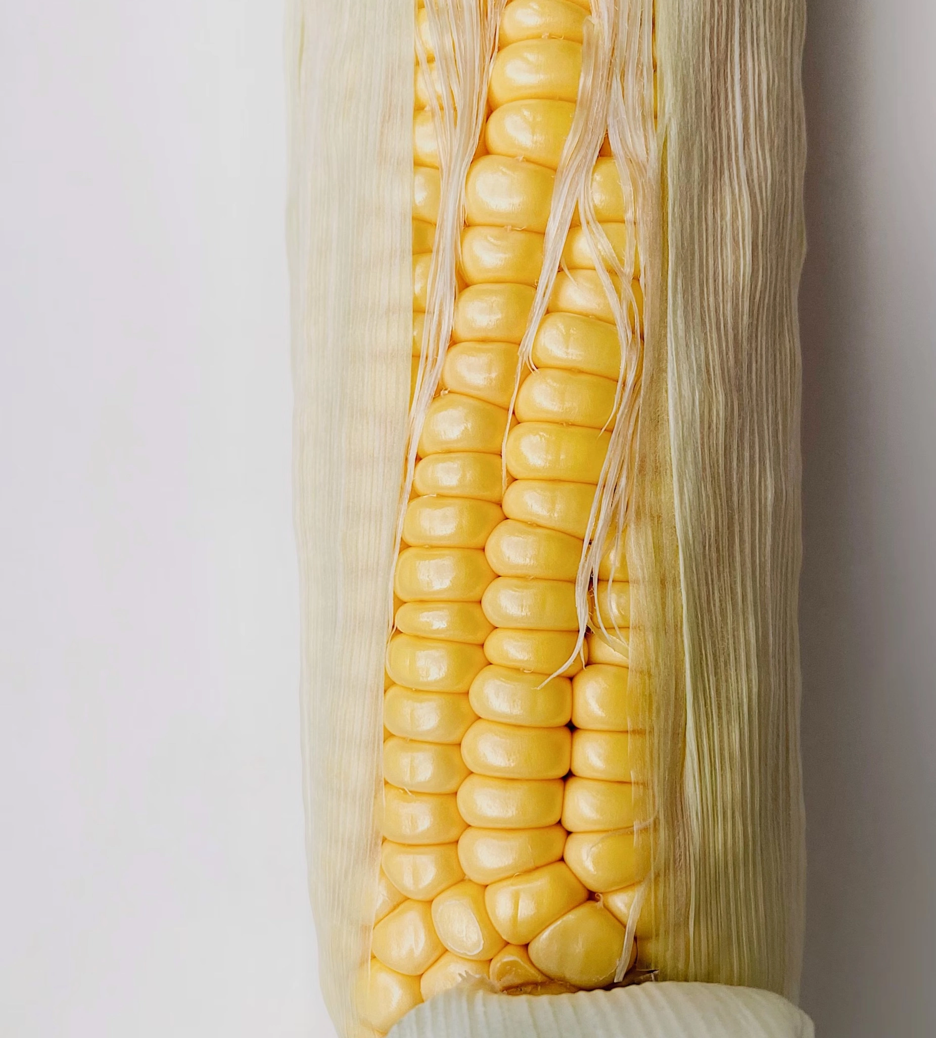 옥수수수염차 효능