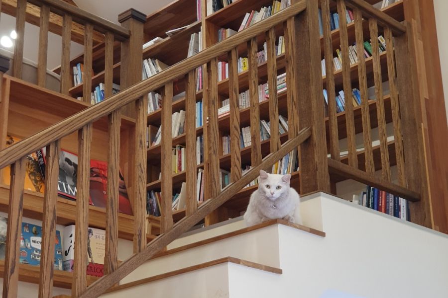 유람위드북스 마스코드 람이