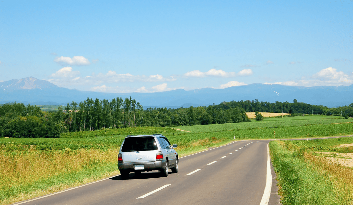 제주렌트카비교사이트_38