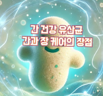 간-건강-유산균-효능