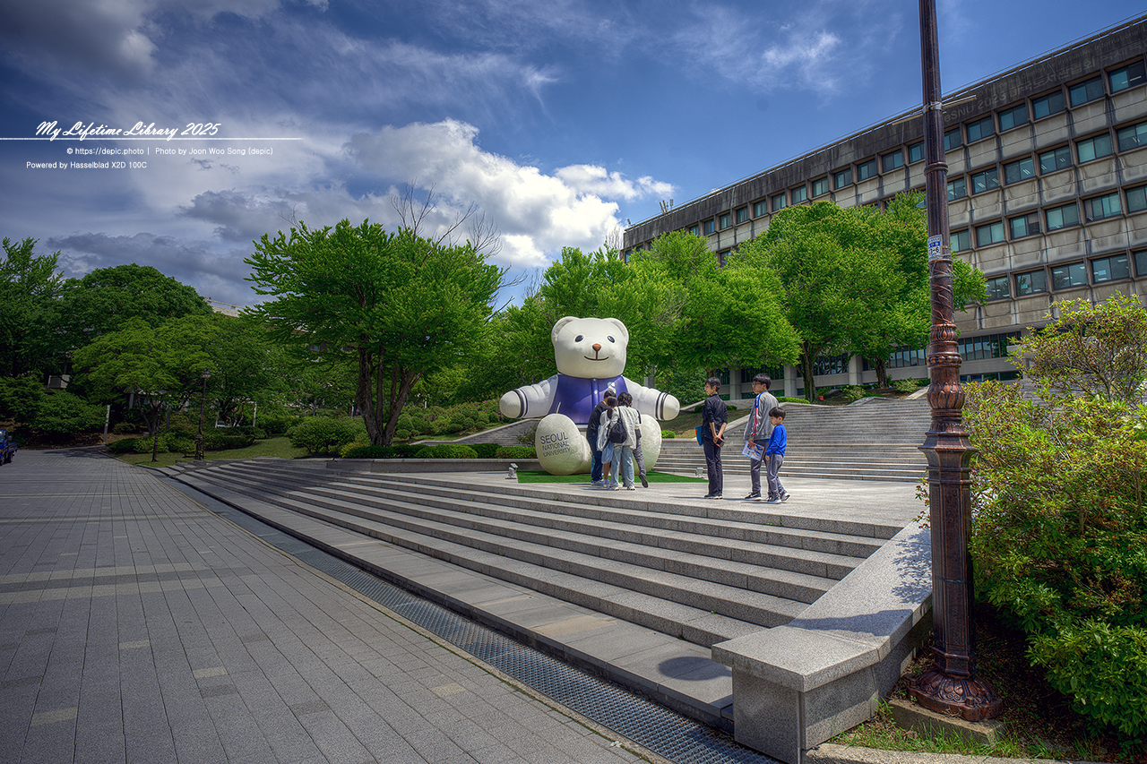 #봄 #캠퍼스 #대학교 #서울대 #서울 #오후 #서울대학교
