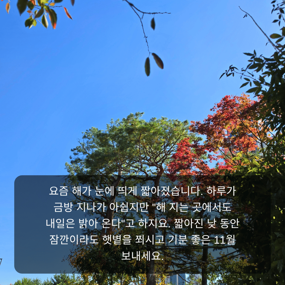 11월 인사말 이미지 7 - 해 지는 곳에서도 내일은 밝아 온다, 짧아진 해 안부