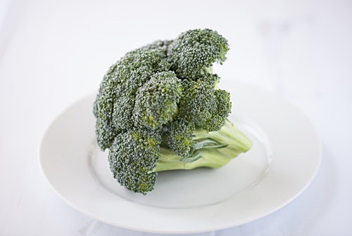 브로콜리 모습