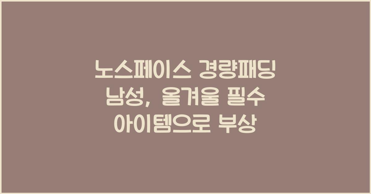 노스페이스 경량패딩 남성