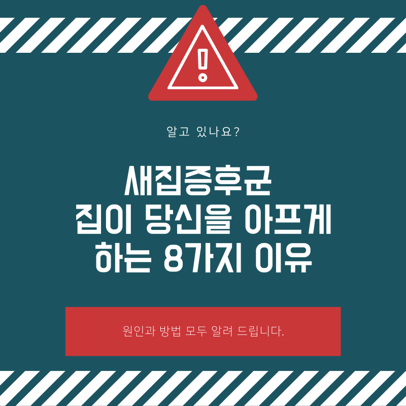 새집증후군