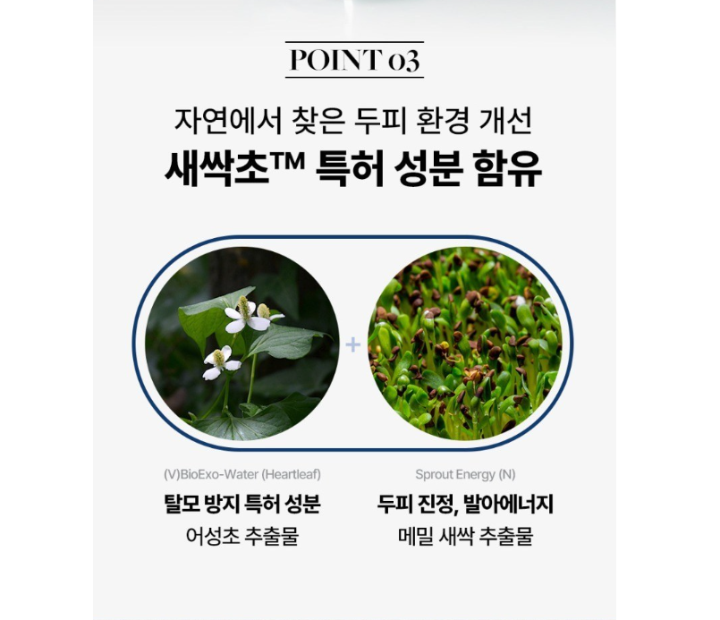 트리코엑스 샴푸 후기