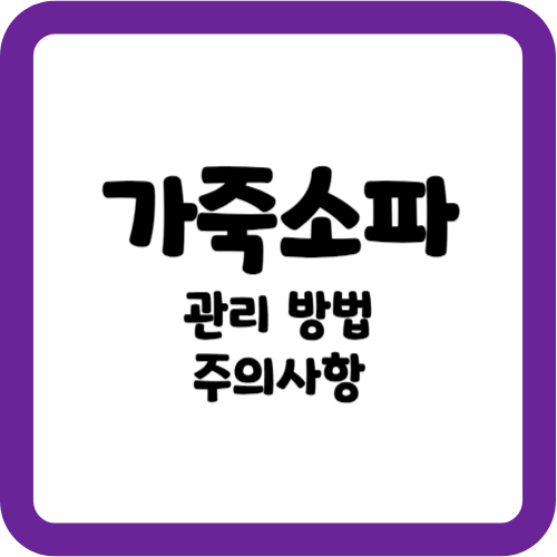 가죽 소파 관리 방법