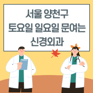 서울 양천구 토요일 일요일 신경외과 진료 병원 리스트