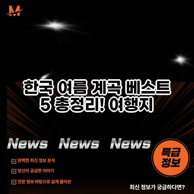 여름 계곡 베스트 5 총정리!