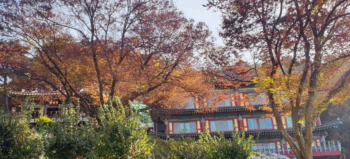 성불사 전경