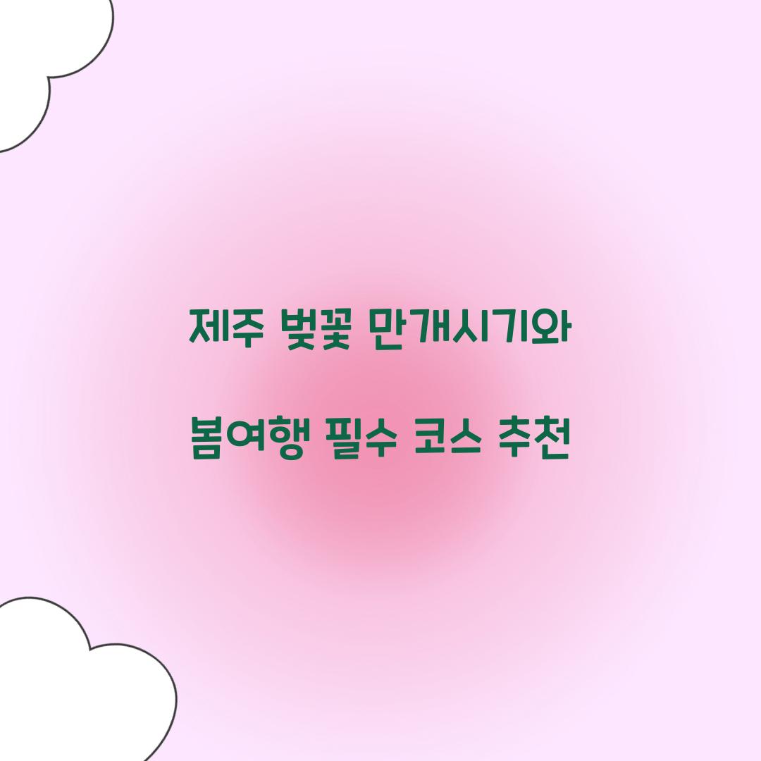 제주 벚꽃 만개시기