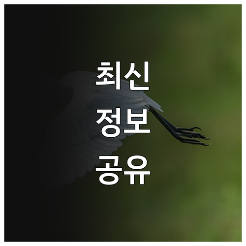 2025 경상남도 신혼부부 주택구입 ..