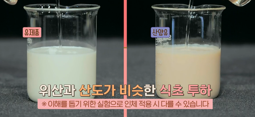 산양유 단백질 효능