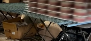 베이커리 위생상태