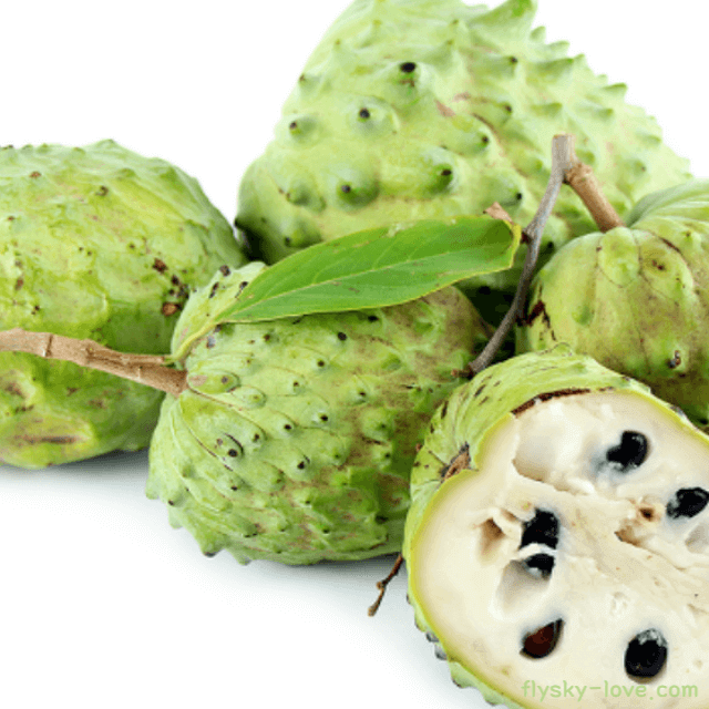 열대 과일 아떼모야 효능