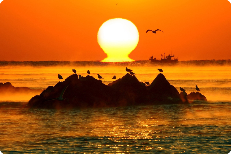 경주 문무대왕릉(감포) 새해 일출 명소/출처: 경주 문화관광