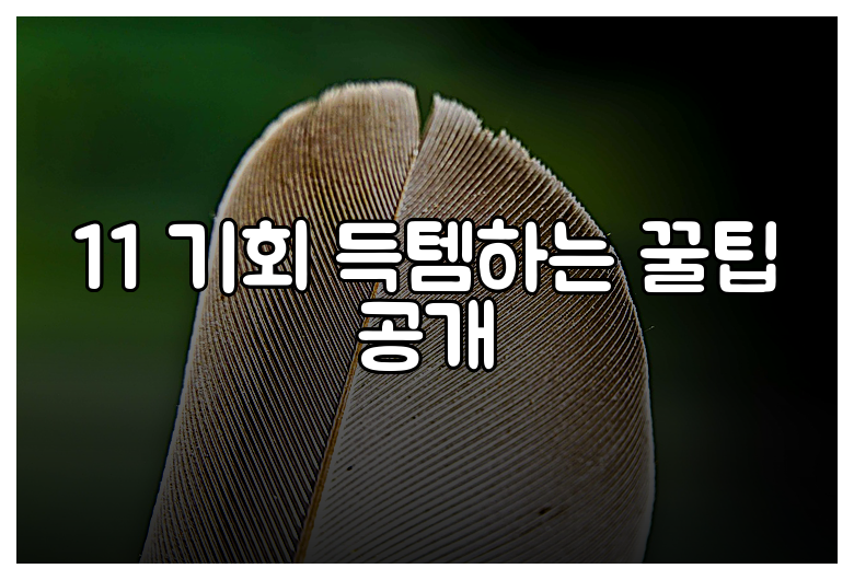 11 기회 득템하는 꿀팁 공개