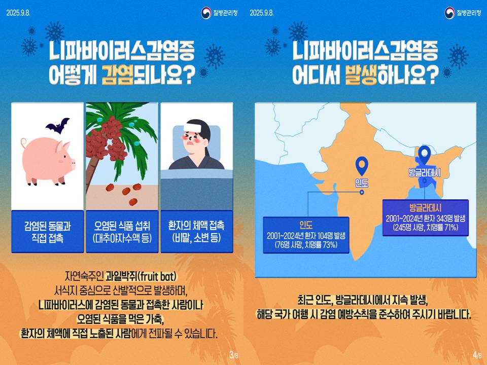 속보 질병관리청 제1급감염병 니파바이러스 치명률 WHO 공중보건 감염경로 대추야자수액 개인위생