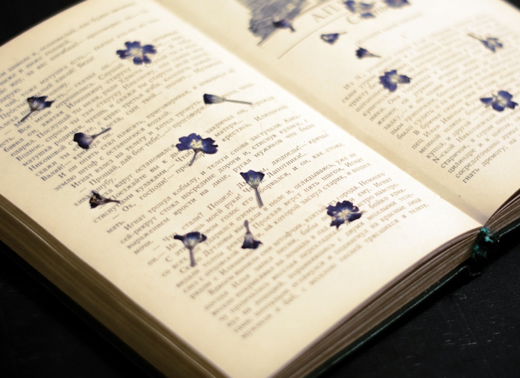 책을 이용한 압화