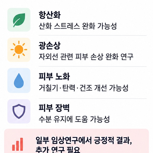 국소 멜라토닌의 항산화 광손상 완화 피부 수분 탄력 거칠기 개선 가능성과 근거 수준을 비교한 이미지